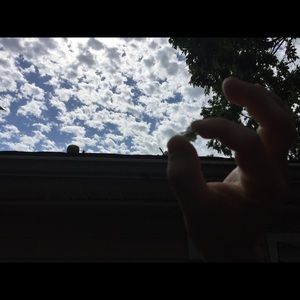 Meet your Posher, Alison